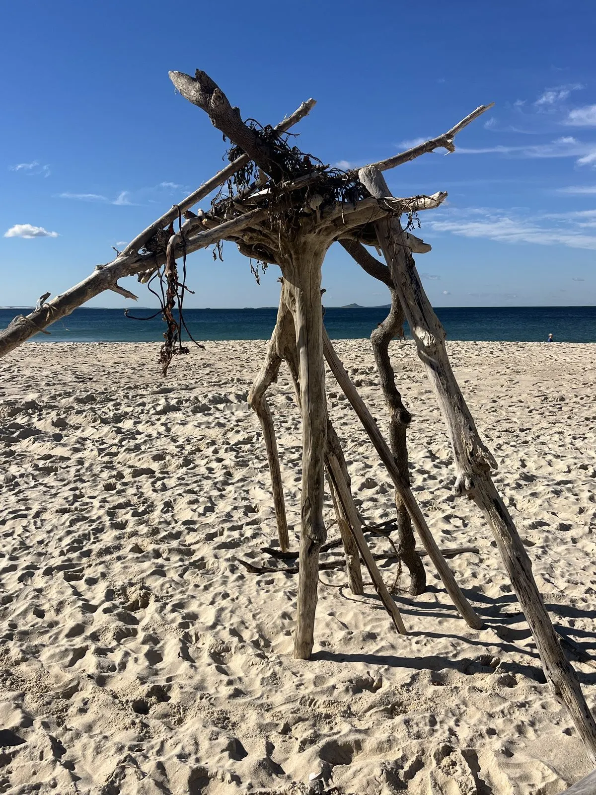 Driftwood sculpture on the white sand of Bennetts Beach, Tea Gardens