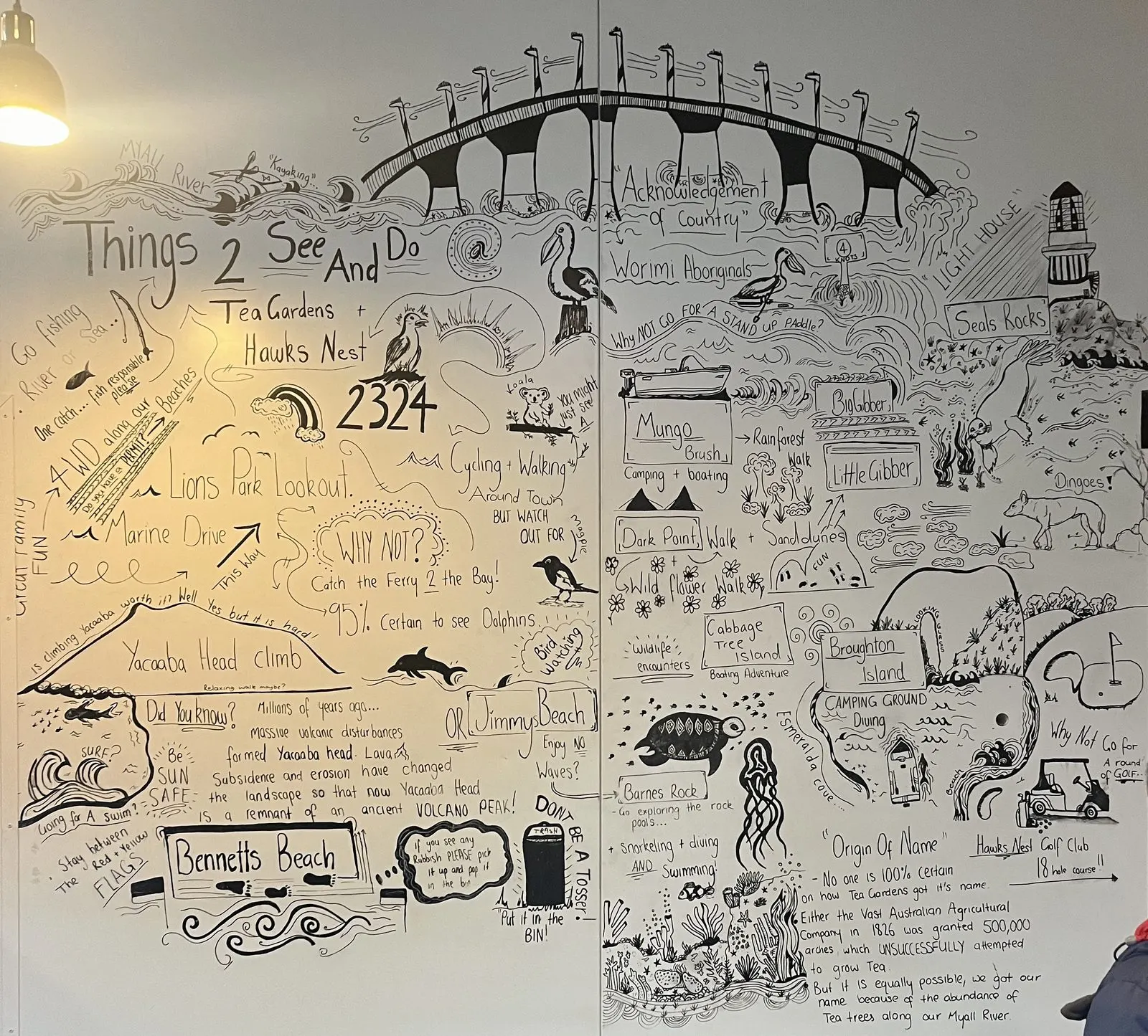 Hand-drawn local guide wall at a Tea Gardens café listing things to see and do