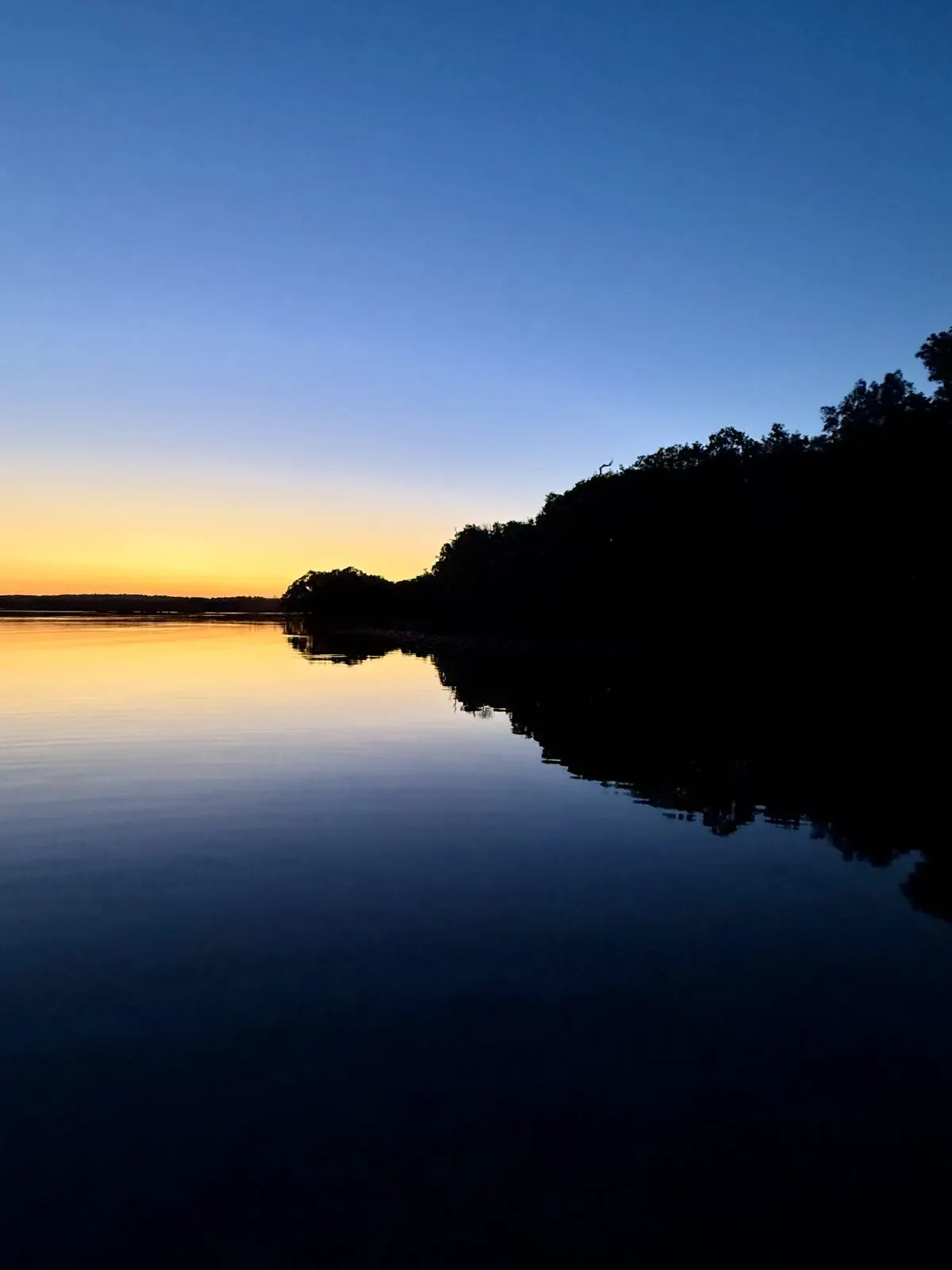 Myall River at dusk with silhouetted treeline, Tea Gardens NSW