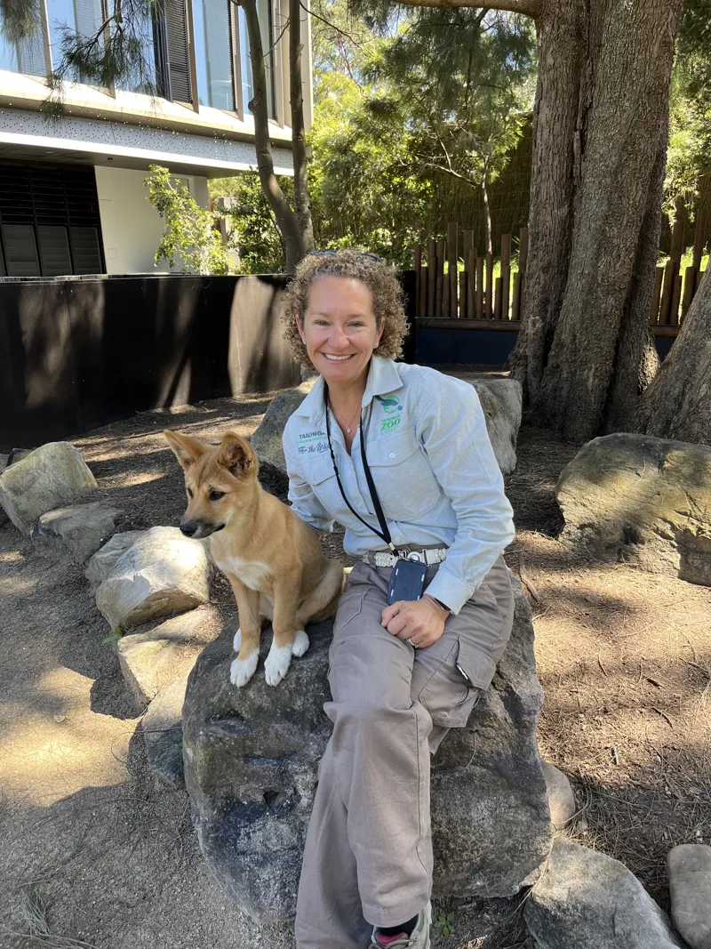 Mandy in her Taronga Zoo uniform, sitting on a rock beside a dingo pup